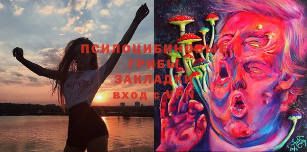 спайс Каменск-Шахтинский