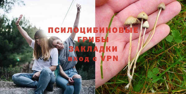 mdma Каменногорск