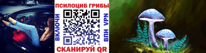 Купить  Ефремов  Галлюциногенные грибы мицелий 